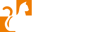 Baffisalvi logo white