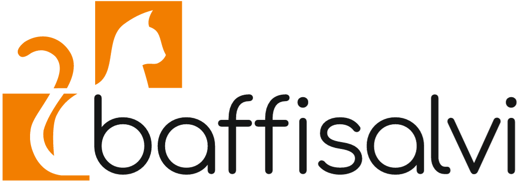 Logo Baffisalvi