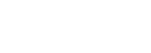 Baffisalvi logo